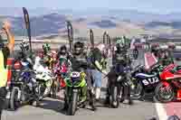 Middle Group Green Bikes
